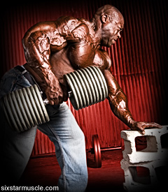 ATH_SSM_LeIngr_dumbell_row.jpg