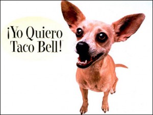 Taco_Bell_Dog-300x226.jpg