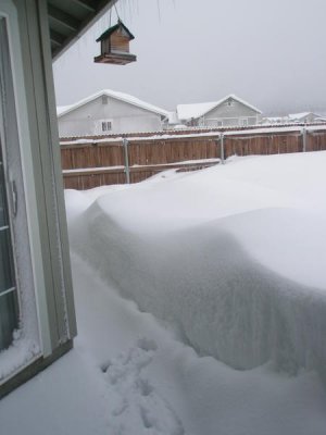 Snow Storm 2010 005.jpg