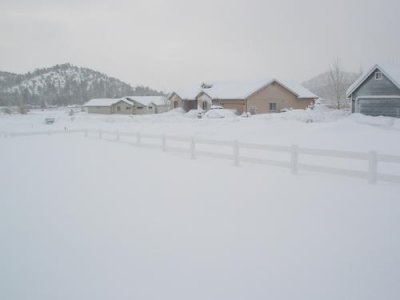 Snow Storm 2010 008.jpg