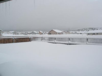 Snow Storm 2010 006.jpg