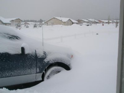 Snow Storm 2010 009.jpg