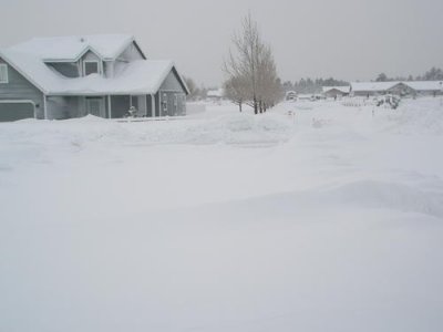 Snow Storm 2010 010.jpg