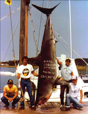 montauk-shark-fishing-741258.jpg