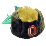 buckeye hat.jpg