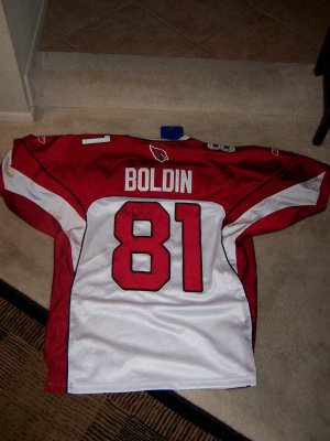 Anquan Jersey2.jpg