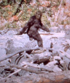 bigfoot.jpg