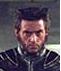 wolverine_face.JPG